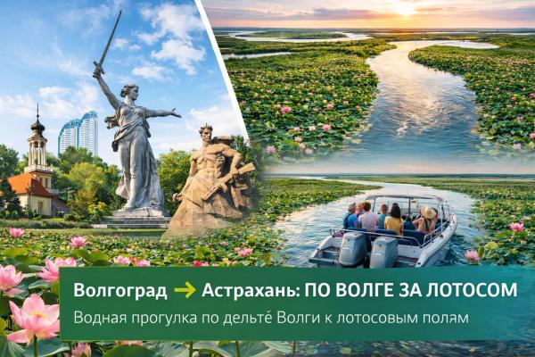 ��� ���������� ������: ���������, ���������, ������, 7 ���� + ���� ��� �/�