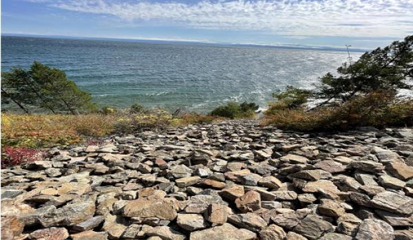 ����������, ������!