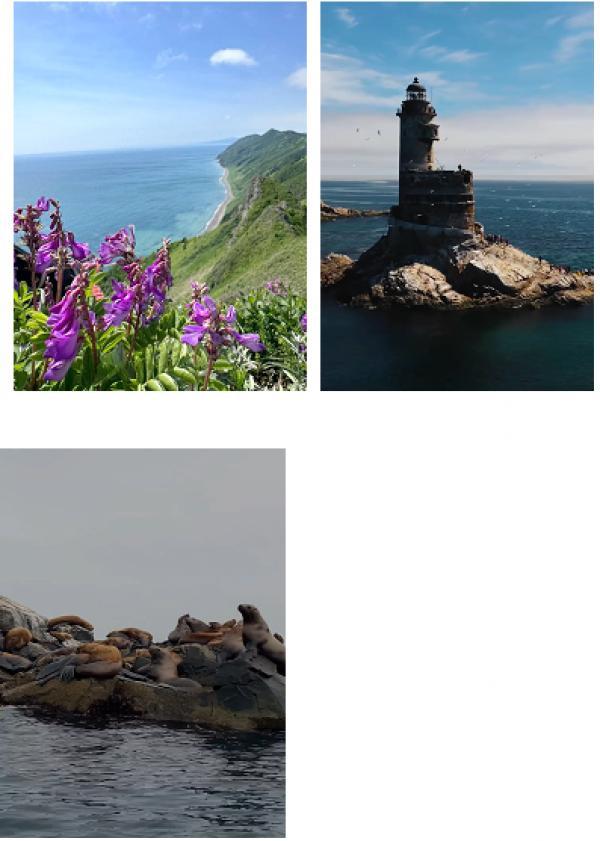 �7 ����� ��������