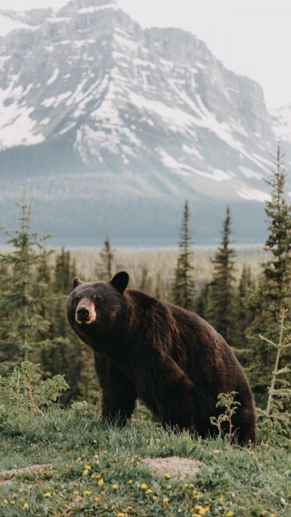 � ������ �� ������������� ������, 7 ����