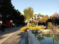 ���� - ��� � ����������� 2026