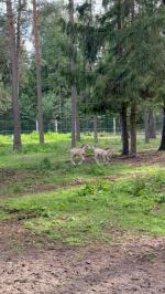 ������������ ����� 3 ���