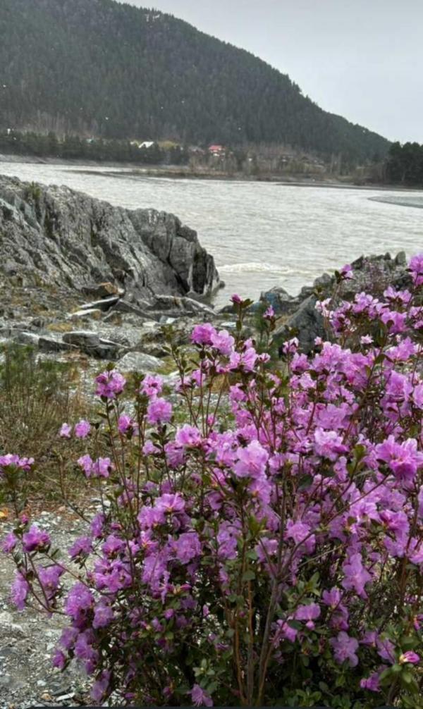 ����������� ������� �����