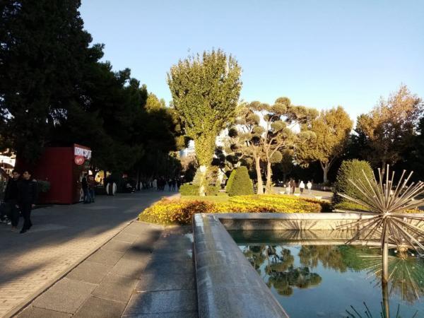 �������� ����������� � �������� ��������