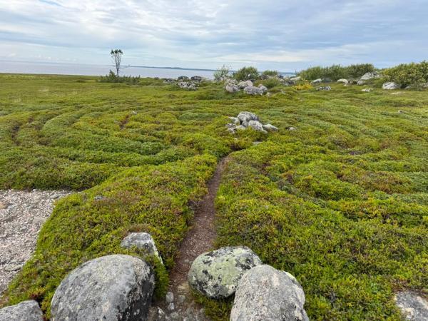 ��������� - ���������� �������