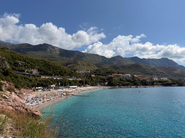 ������������ ���������