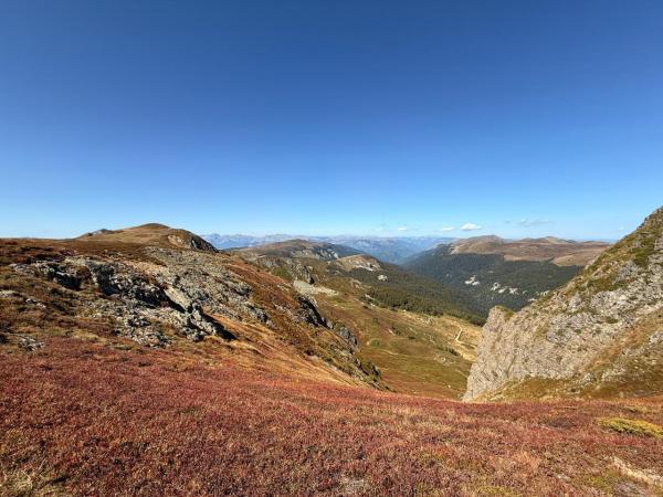 ���������� �����. ������. ����������. ������ � �����������.