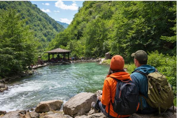 ��������� ���������� ������, 6 ���� + ���� ��� �/�, ������-�������