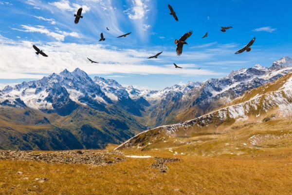 � ����-������, � ��������!, 4 ��� + ���� ��� �/�