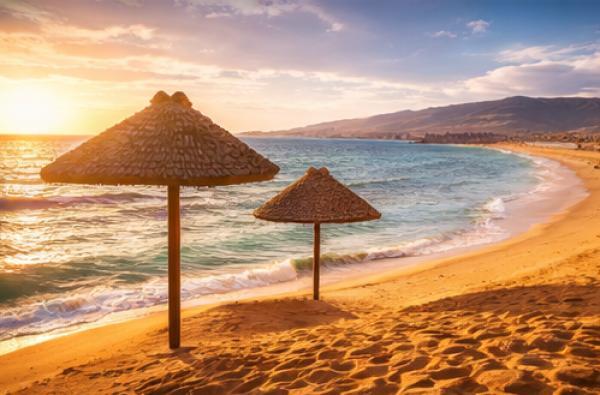 ������� ����� � �������: ������, 8 ���� + ����