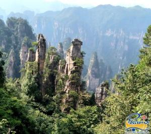 ����� ��� , ���������� ���� � ���� ������. ���� � �������