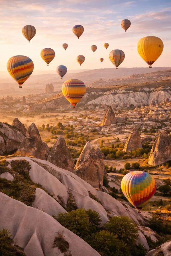 �������� ���� �� �������� � ����������, 5 ���� + ����