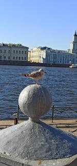 ������� ��� ��� ���������� ������ �� ������