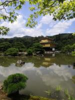 ������ ������ � ������� �� �����. ����������� �� �����