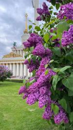 ��������� �������� � ������. ���������� ��� �� ����� - ����������.