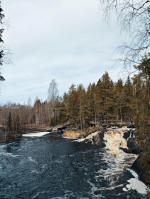 3 ������ ��� � �������. ��������, ��������, �����, ���� ��������.