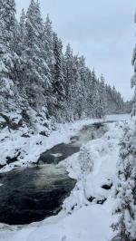 4 ������ ��� � �������. ��������, ������, ���� ��������.