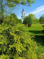 ������� �����: ������, �������� � ��� � Hilton