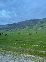 �������� ������ (5 ����)