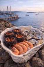 ��������� �� �����������, 6 ���� + ����