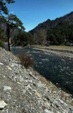 ��������� � ����� �� 6 ����!