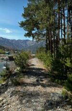 ��������� ����������� (7 ����)