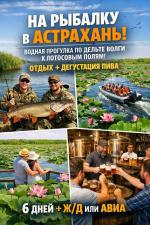 �� ������� � ���������, 6 ���� + � / � ��� ����