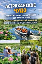 ������������ ����, 3 ��� + � / � ��� ����