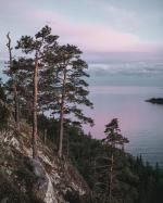 � ������� ����� �� ������������� ������, 4 ���