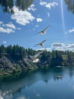 � ������� ������ �� ������������� ������, 4 ���