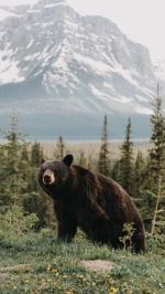 � ������ �� ������������� ������, 7 ����