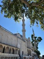 � ������ �� ������ ������� �����������