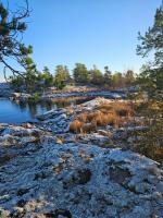 ����������� ����������