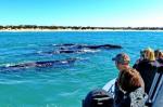 ����� ������ - ����� �����, 9 ���� + ���� 24.10.2026 - 01.11.2026